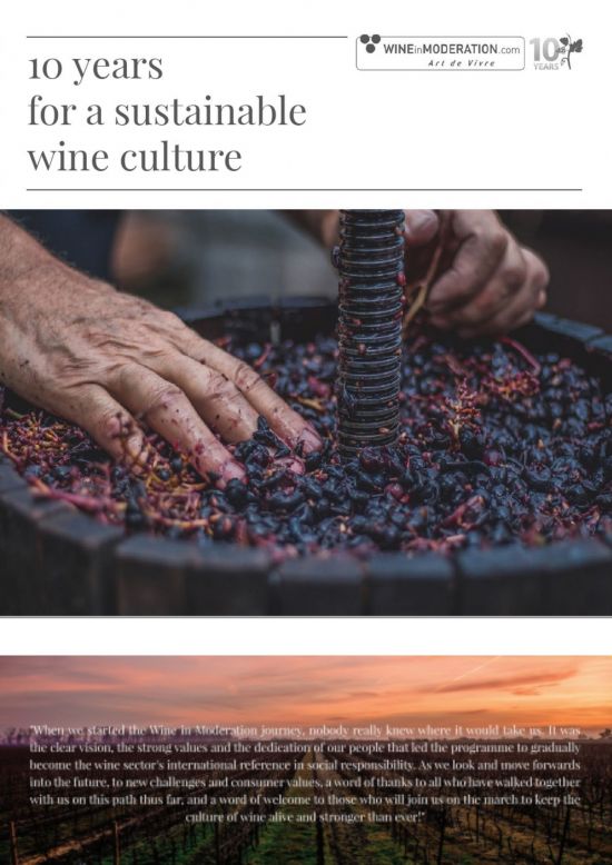  Informe de los 10 años 2018