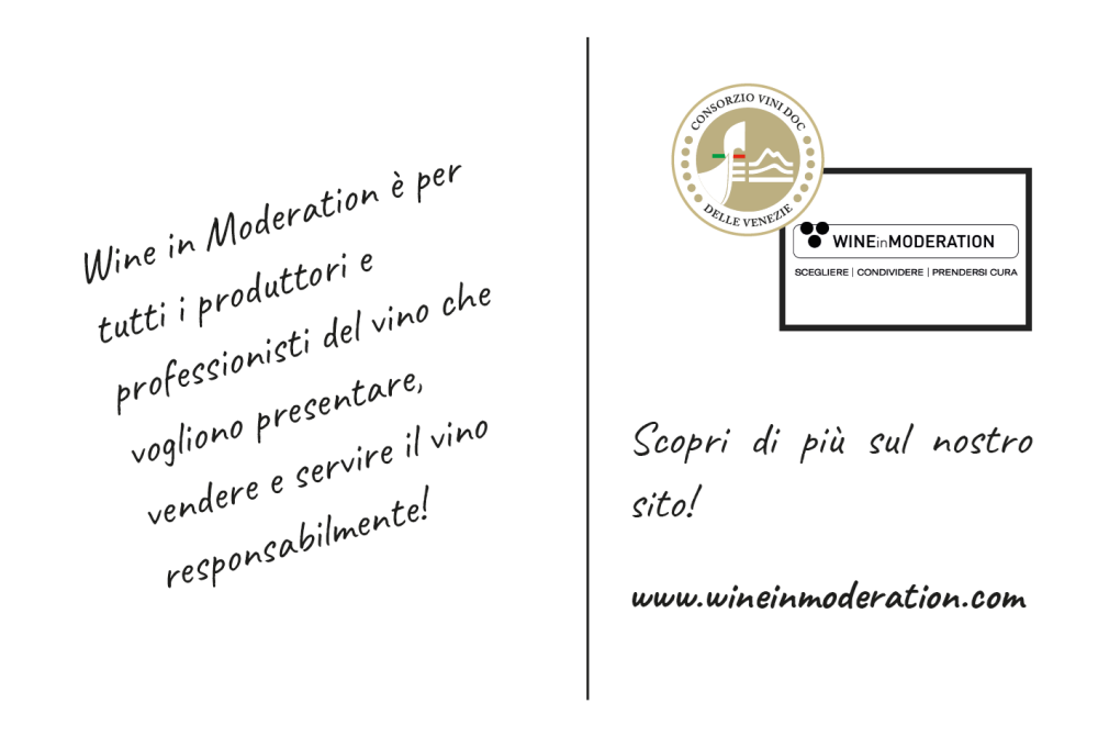 Wine in Moderation present at the annual convention of Consorzio DOC Delle Venezie