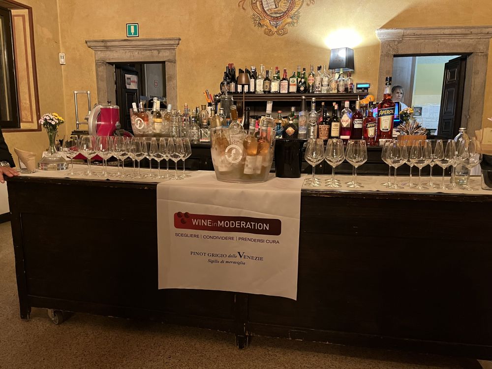 Consorzio DOC Delle Venezie includes Wine in Moderation at annual conference