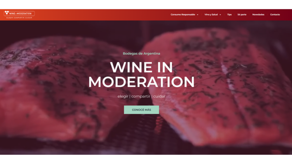 Discover responsible wine enjoyment with Bodegas de Argentina