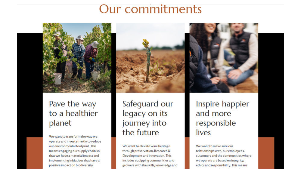 Integrating Wine in Moderation into your sustainability strategy