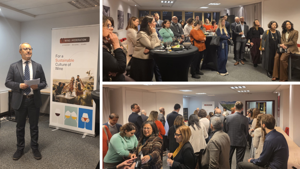 Wine in Moderation celebrates 2025 achievements at annual New Year reception