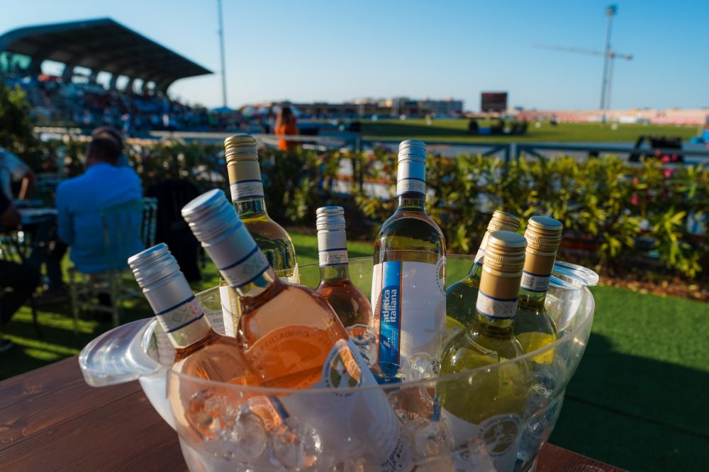 Consorzio Pinot Grigio DOC Delle Venezie: bringing moderation to the world of sport