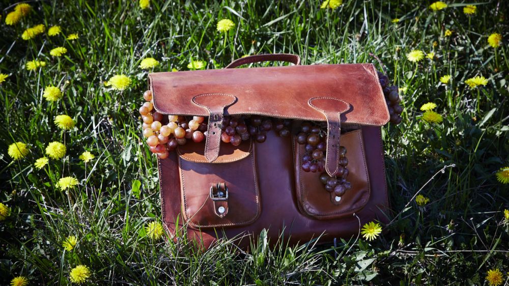 Vin et Société helps you discover your senses at the 2019 annual Paris International Agricultural Show