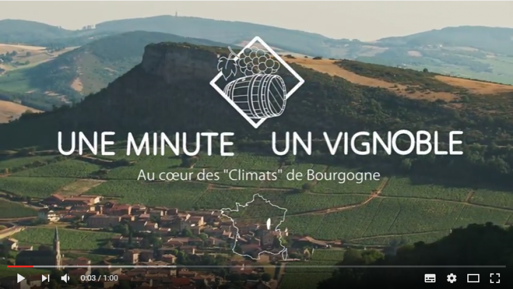 The international film festival 'Oenovideo' rewards the TV program '1 minute 1 vineyard'