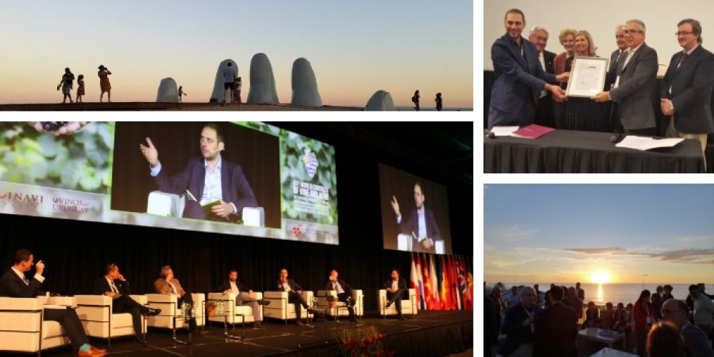 Shaping the future of wine in Uruguay
